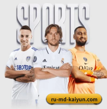 开云体育 APP 界面 - kaiyun sports