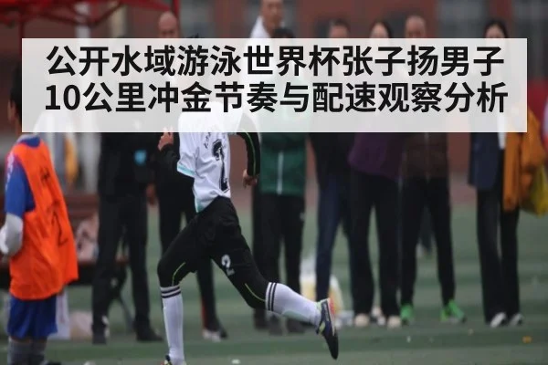 公开水域游泳世界杯张子扬男子10公里冲金节奏与配速观察分析